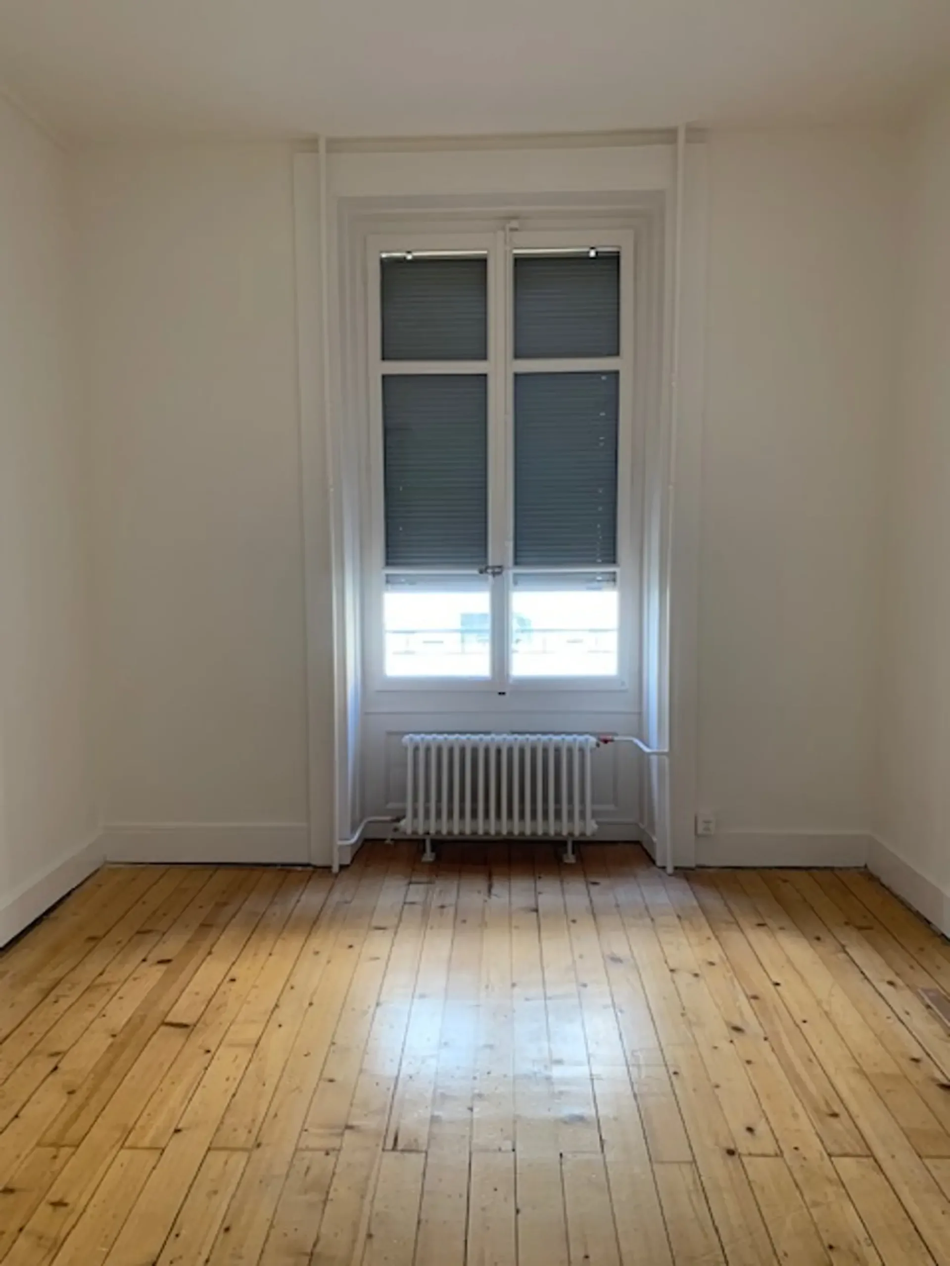 Schönes Viertel Plainpalais, hübsche 2-Zimmer-Wohnung nahe allen Annehmlichkeiten