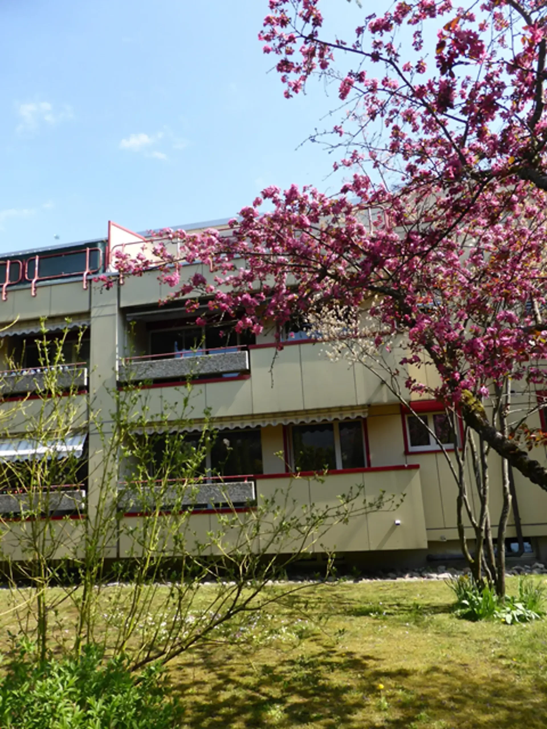 Familientraum-Zuhause in Reinach BL
