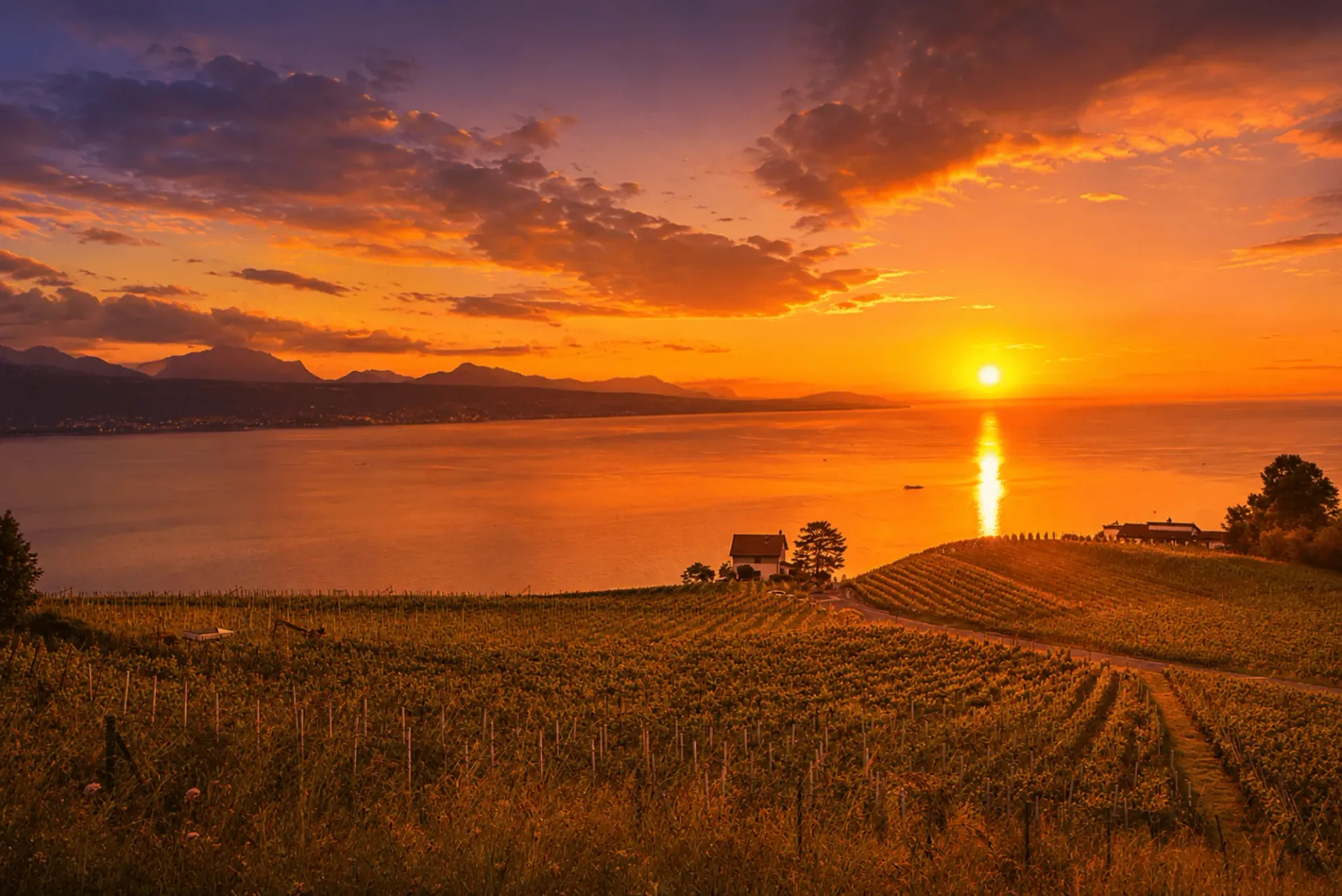 LUTRY - UNIQUE ! SOMPTUEUSE VILLA  AU COEUR DES VIGNES