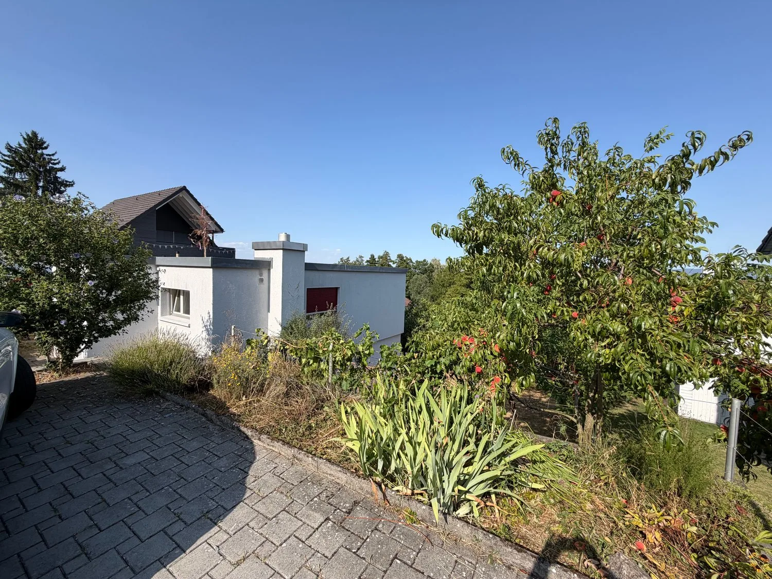 Family-friendly 5-room single-family house in a quiet location in Muri AG