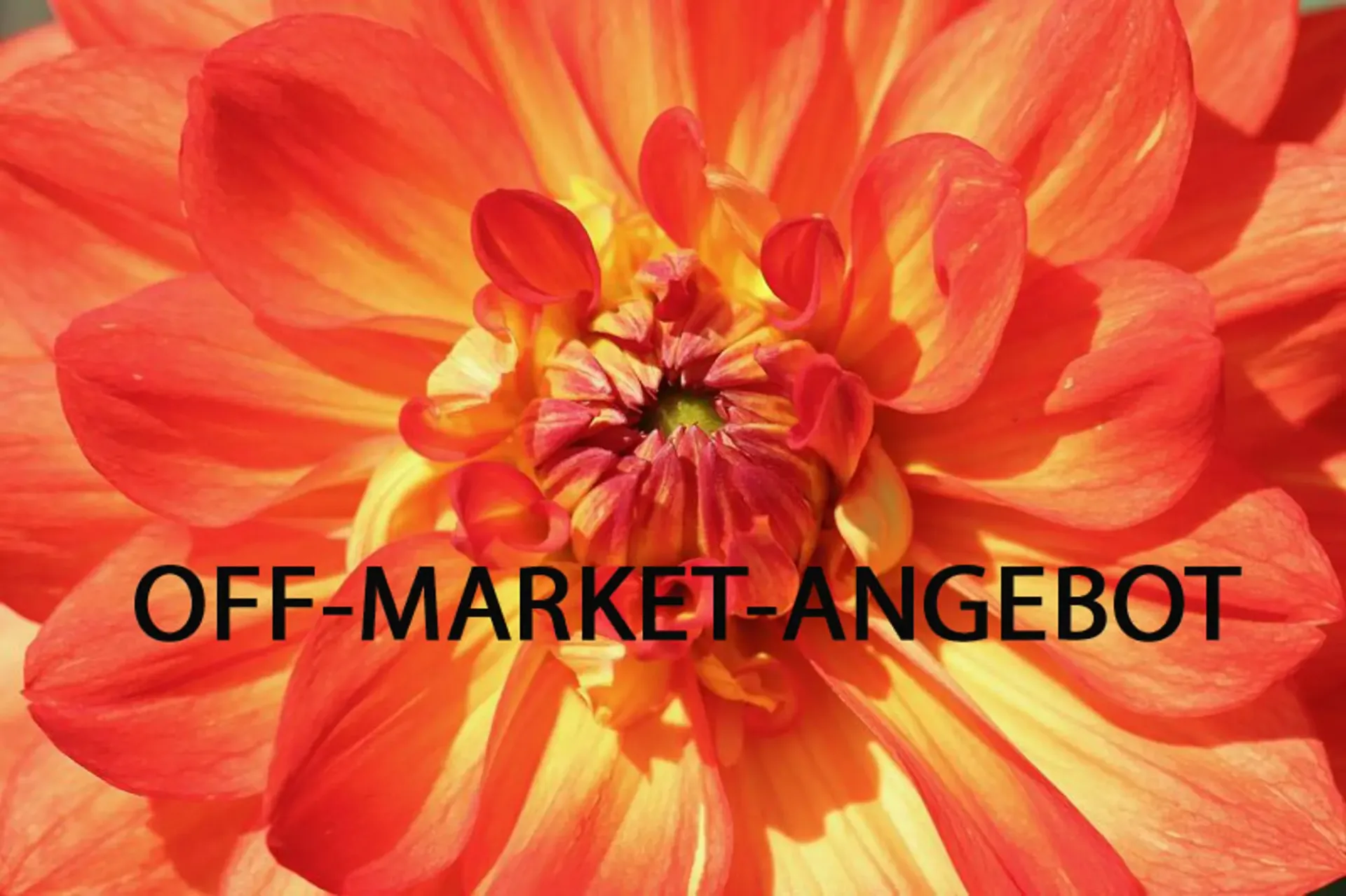 10 Minuten von Liestal: OFF-Market-Wertstabiles-Investment– topaufgestellt & sanierungsfrei