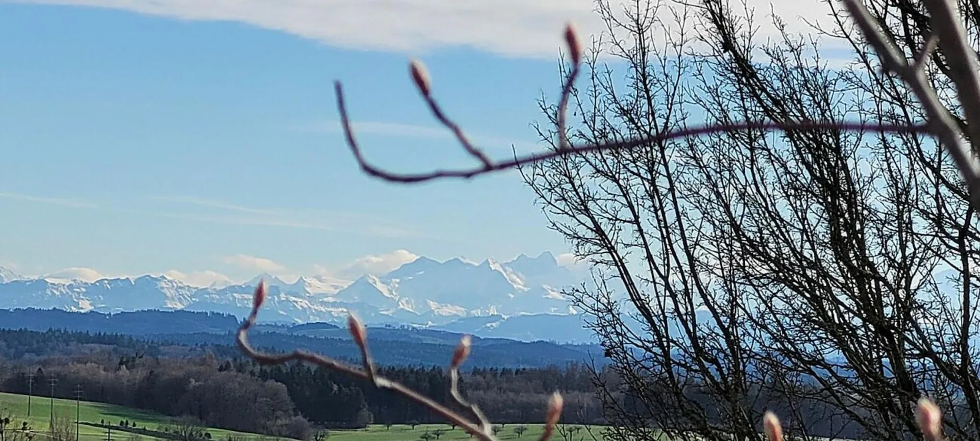 Grosszügiges 4.5-Zi-EFH mit grosser Terrasse mit fantastischer Fernsicht bis zu den Alpen