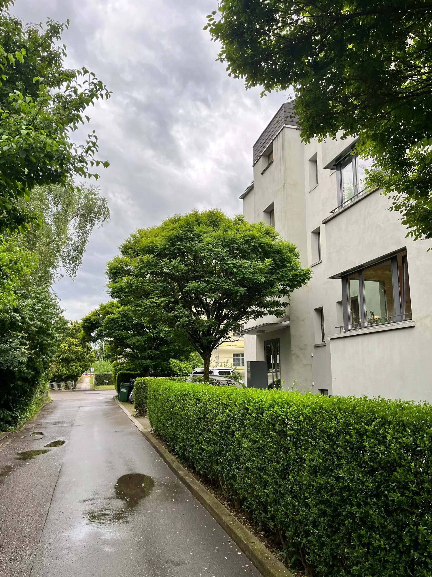 Hobby room in the basement in Zürich-Albisrieden – available immediately