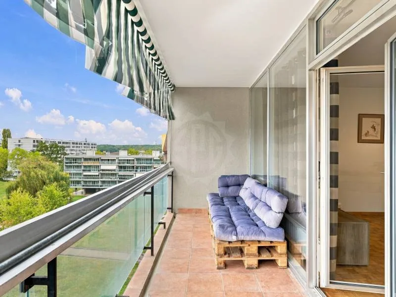 Magnificent apartment - Meyrin