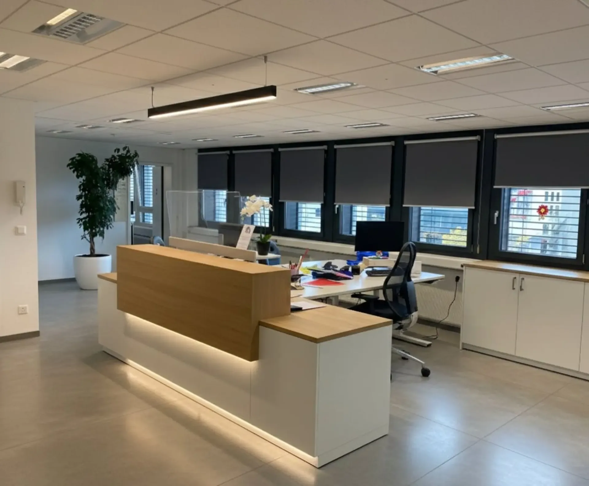 Büro zur Miete in der Innenstadt von Freiburg!