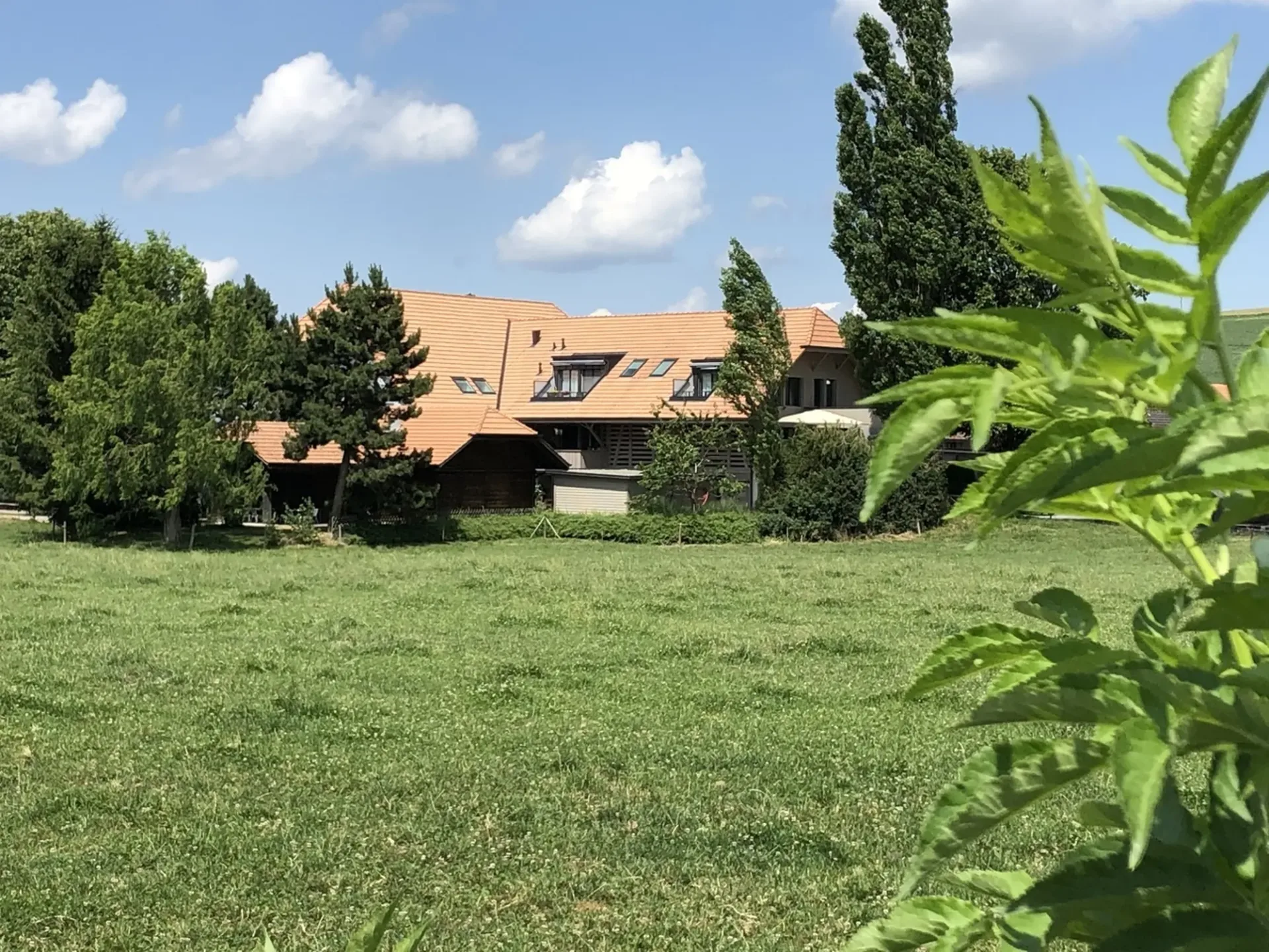 Incantevole appartamento 3.5 locali a Niedermuhlern!