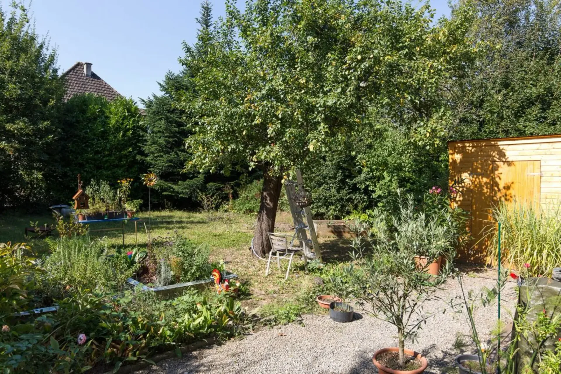 Accogliente appartamento di 2,5 locali in affitto a Wettingen