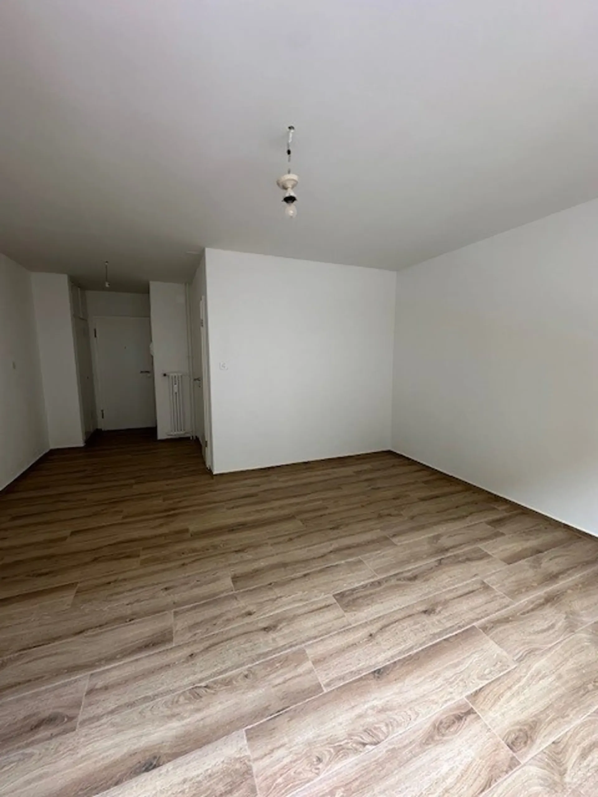 Attractive, renovated bright 1-room apartment