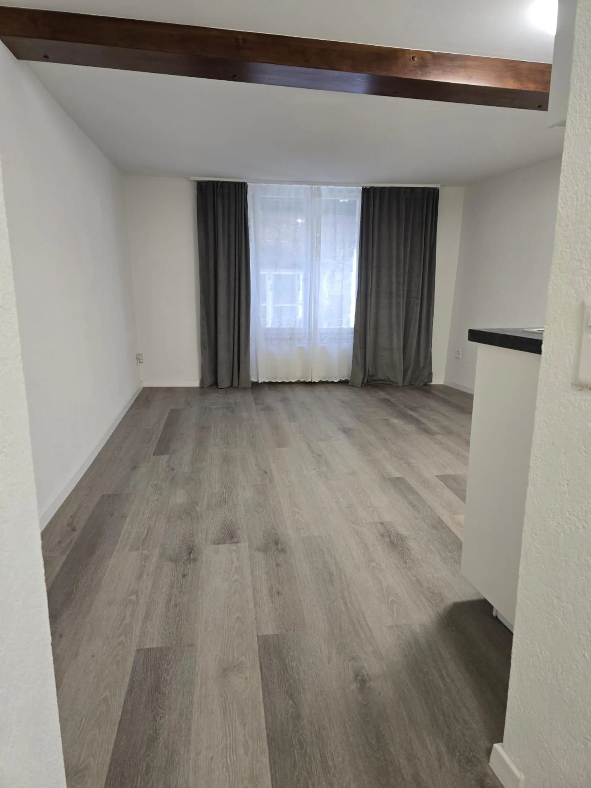 Très joli appartement 1 pièce rénové ** 1ère location **