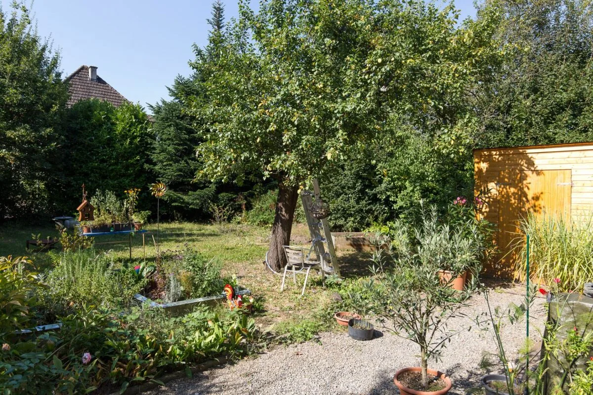 Cozy 2.5 room apartment for rent in Wettingen
