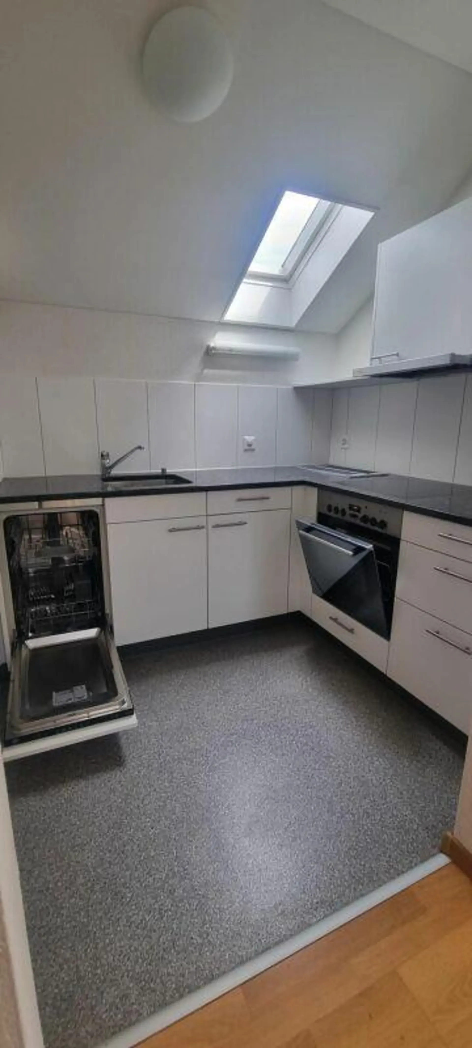 1-Zimmer-Dachwohnung