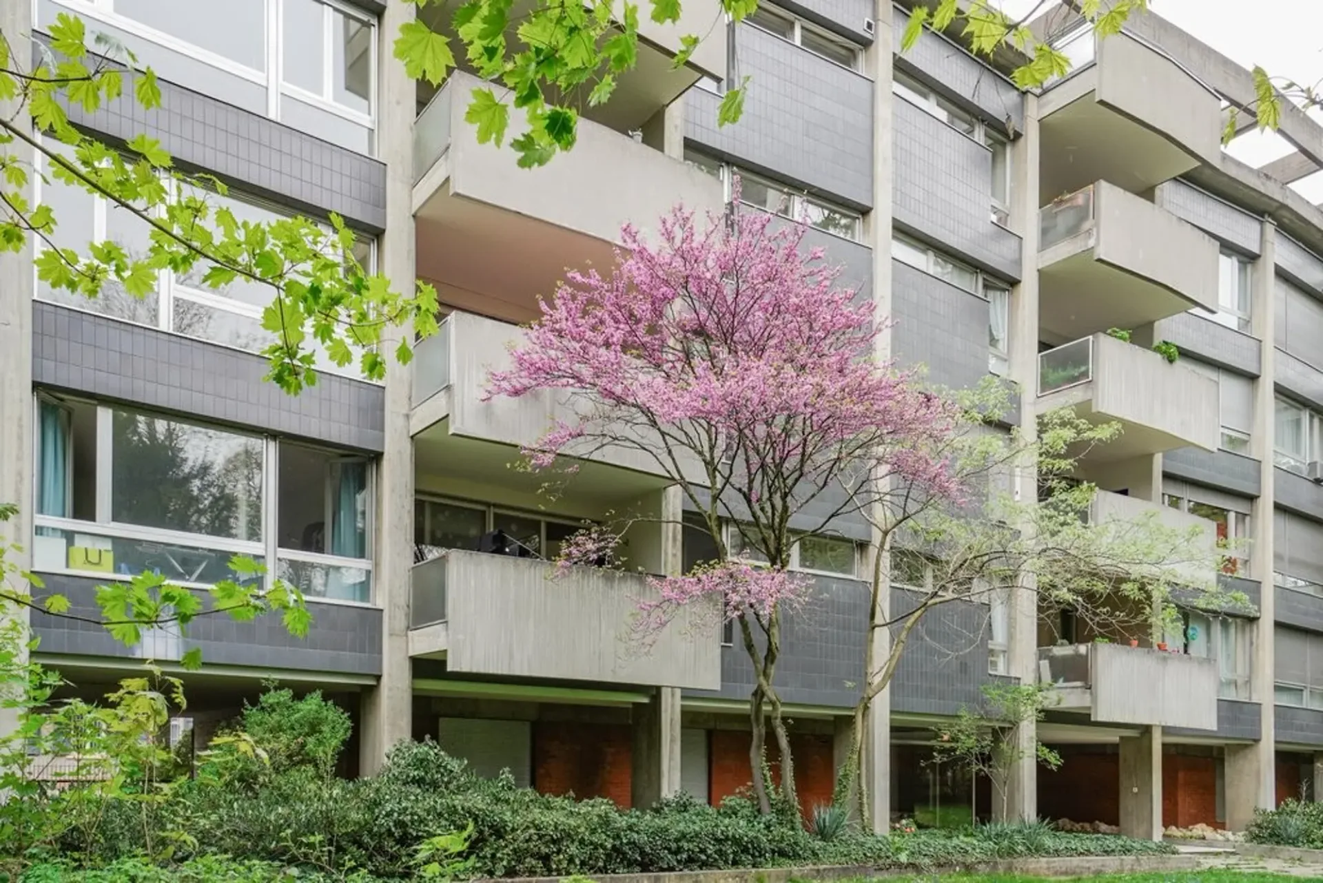 Your new city-near home in the quiet St. Alban Quarter