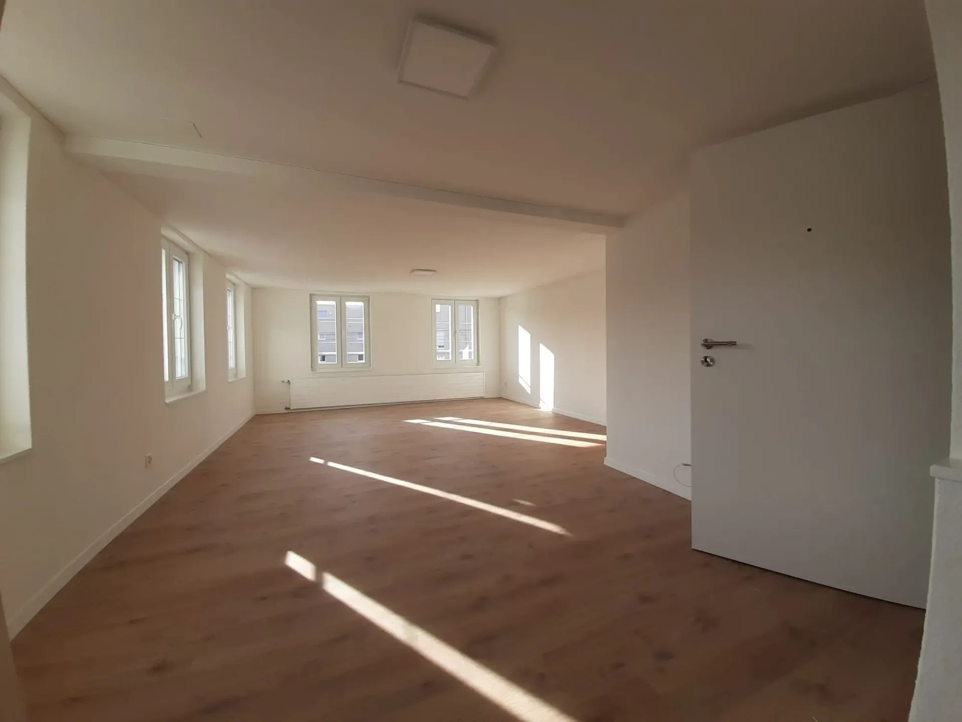 Spacious, modern apartment