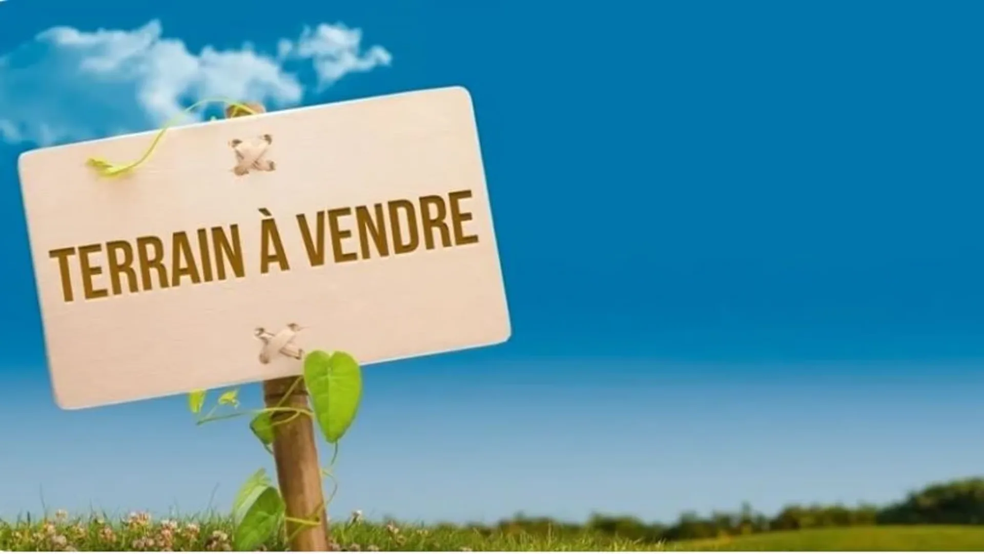 TERRAIN - OPPORTUNITÉ FONCIÈRE EXCEPTIONNELLE – MESSERY (74140)