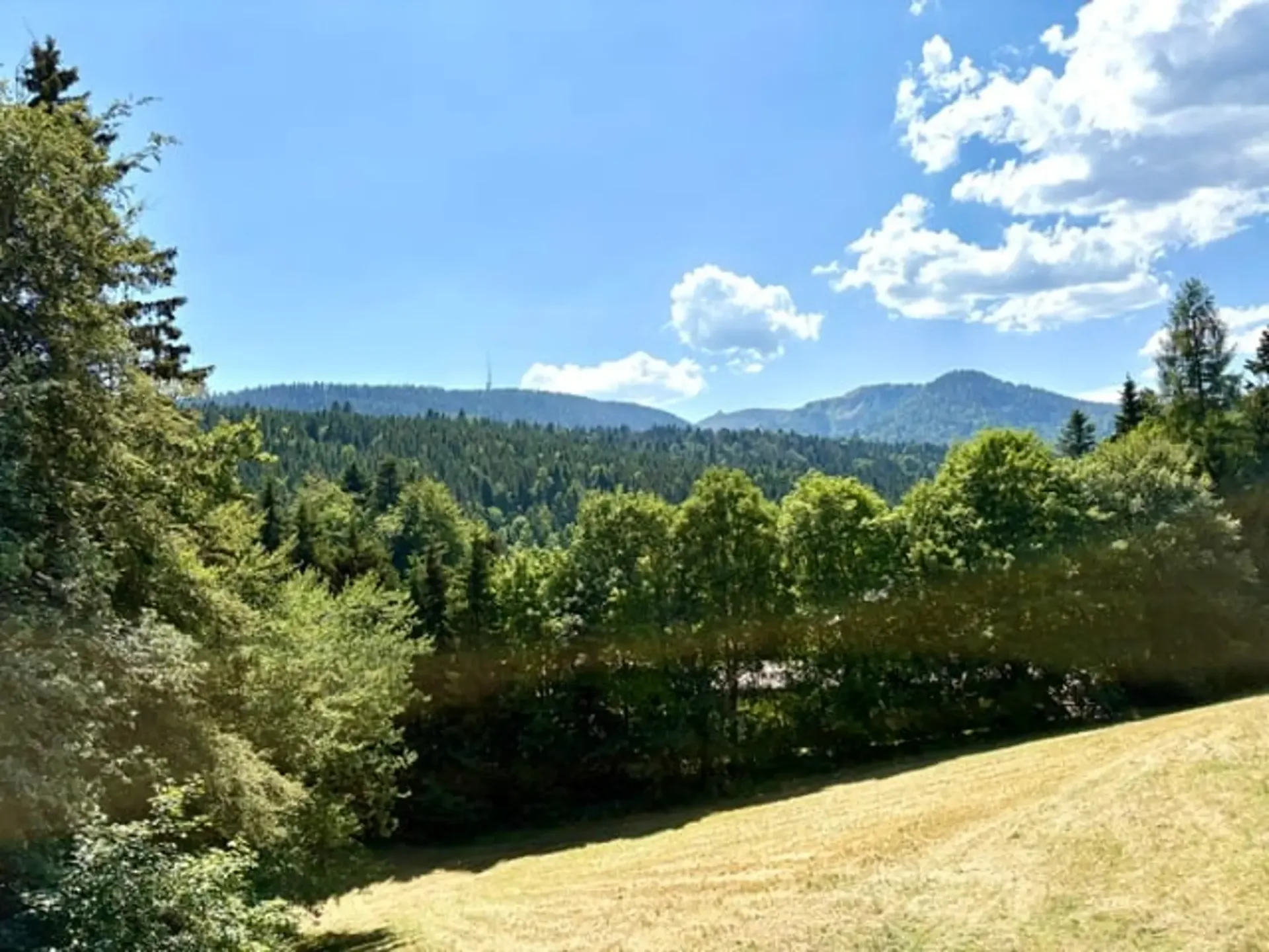 Charmanter 3.5-Zimmer-Wohnung möbliert in St-Cergue mit Aussicht und Balkon