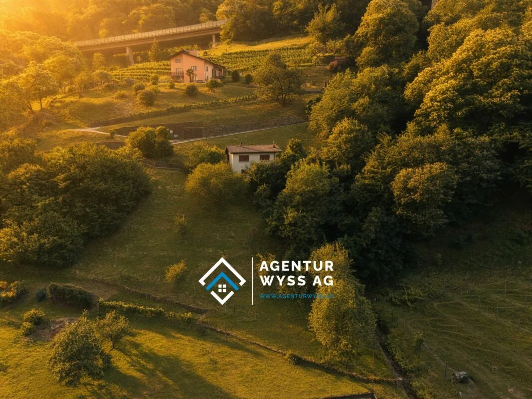 Tessiner Wohntraum im Grünen