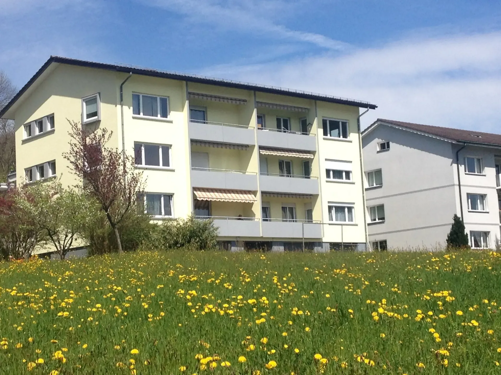 4,5-Zimmerwohnung in Olten