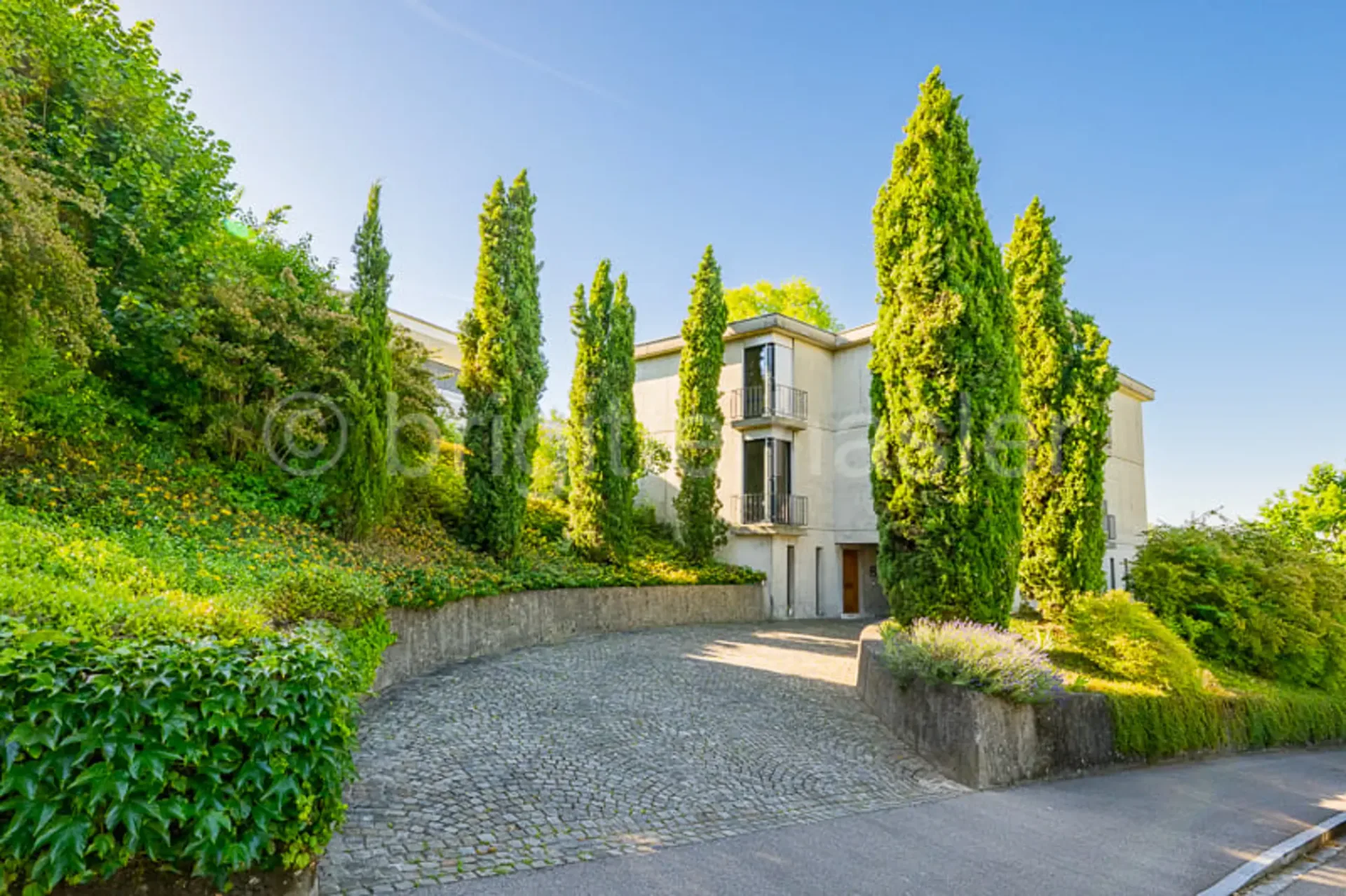Haus Alder: Representative Property in a Desired Residential and Scenic Location