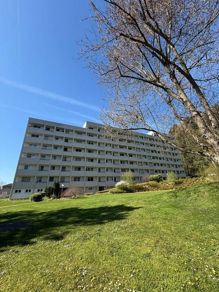 Komfortable 4.5 Zimmer Wohnung in Brugg