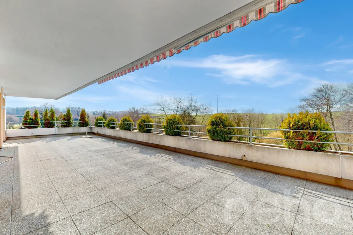 Grosszügige 5.5-Zimmer Terrassenwohnung in Düdingen