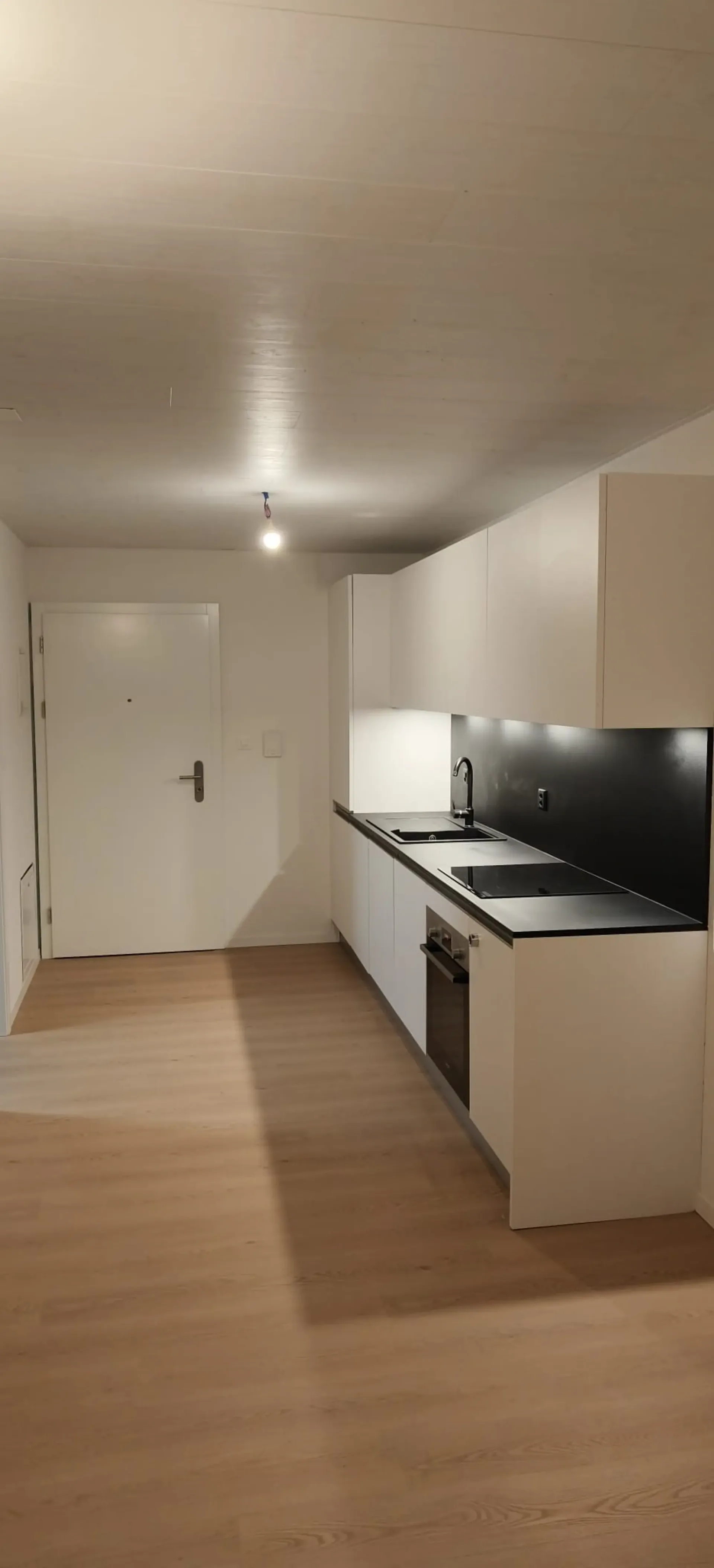 Großes helles 2,5-Zimmer-Apartment