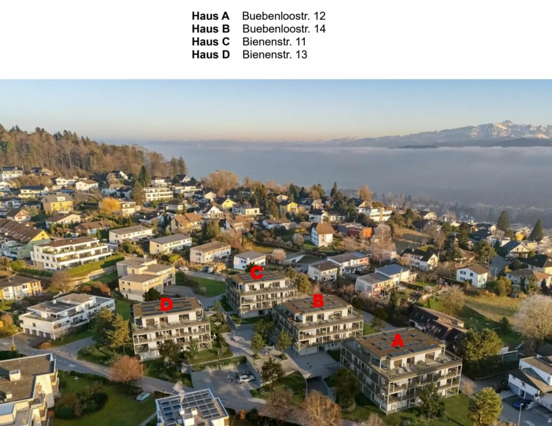 Erstvermietung "Buebenloo" - 3.5 Zi.-Wohnung, 1. OG