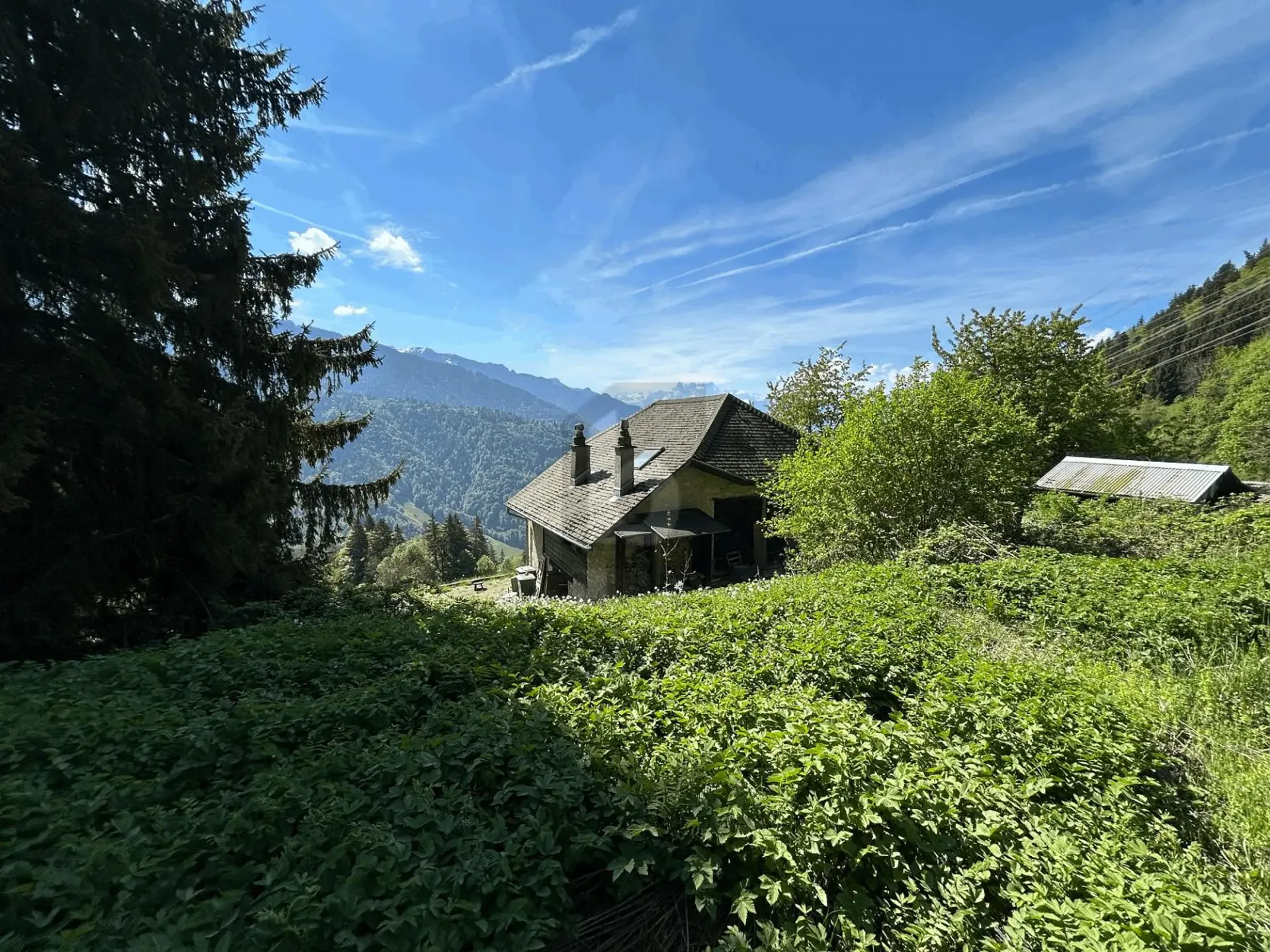 ECHTHEIT, AUSBLICK UND ABSOLUTER FRIEDEN
