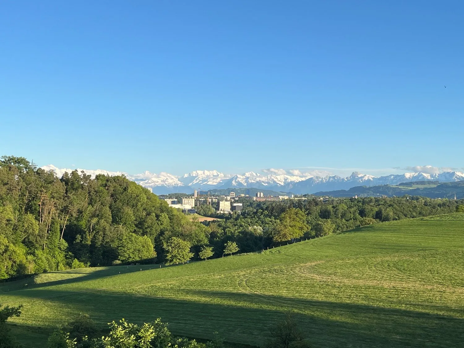 Ein Zuhause. Viel Grün. Ein Ausblick, der bleibt.