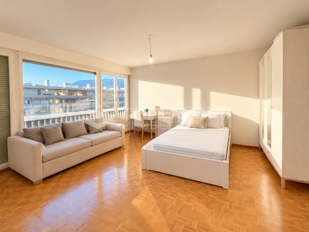 Bright studio in the heart of Malagnou - 7th floor - Sale in SI