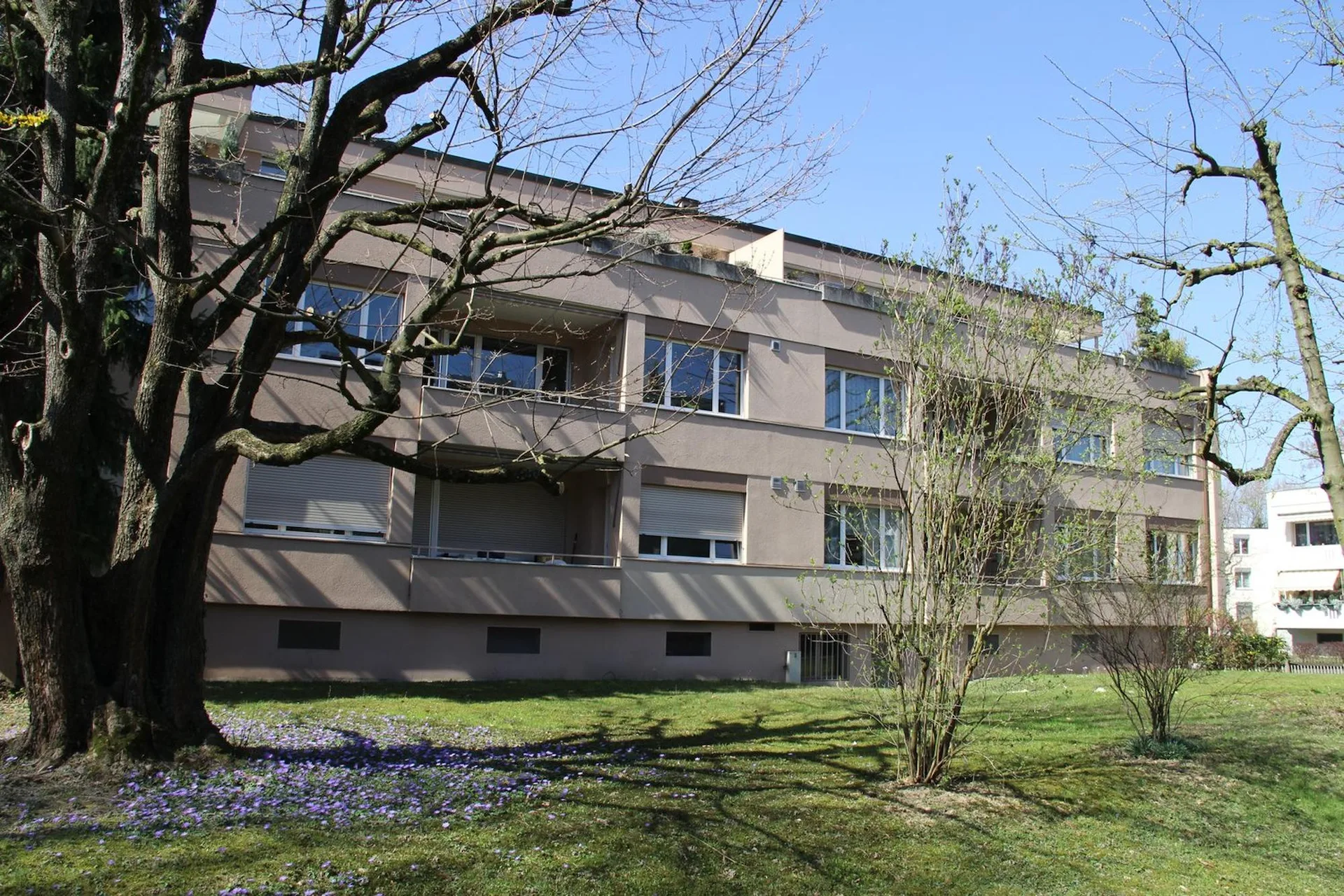 Helle 4-Zimmer-Wohnung mit Balkon in Allschwil