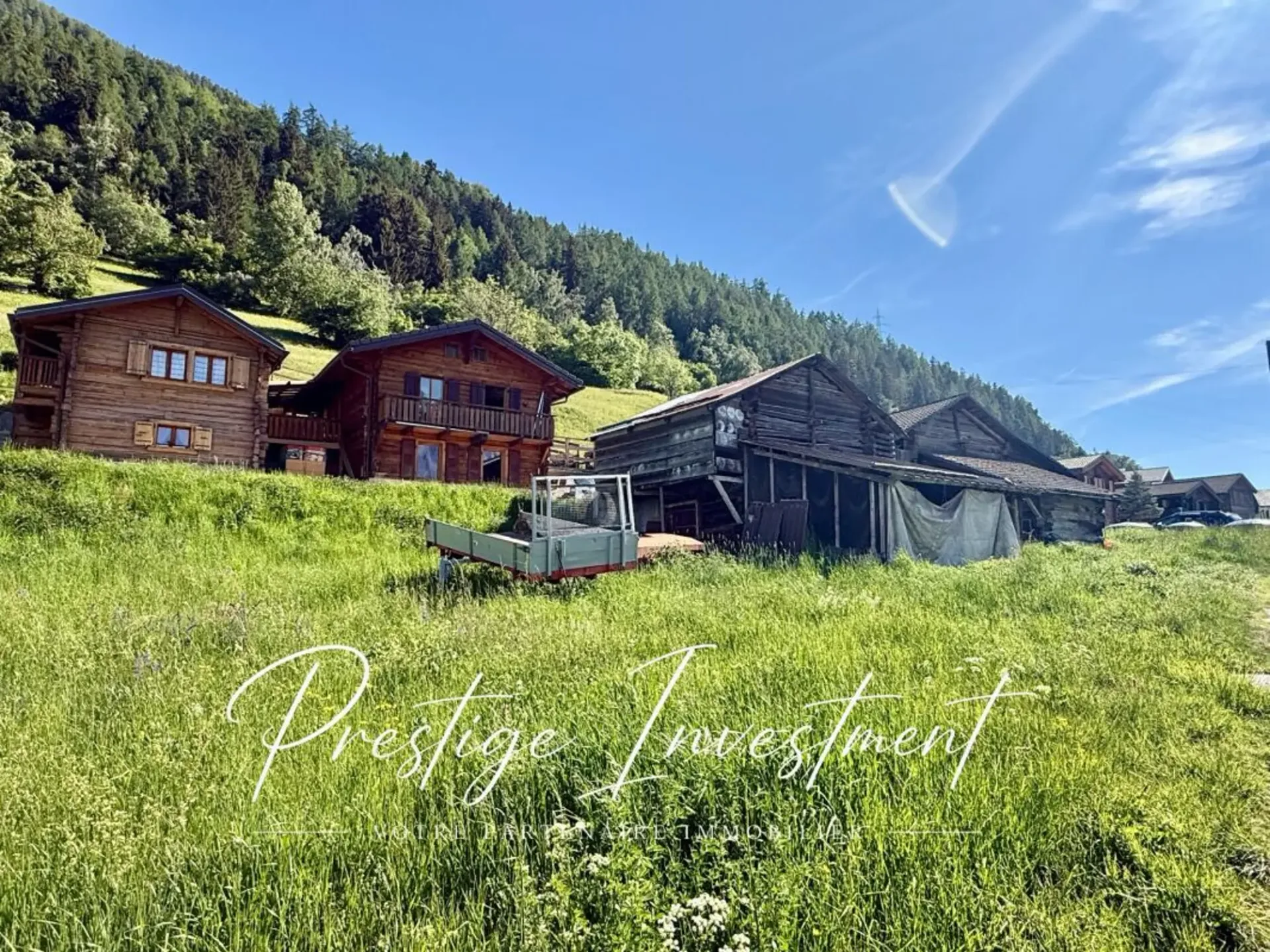 BAUGRUND MIT SCHEUNE UND PFERDESTALL ZUM RENOVIEREN NENDAZ
