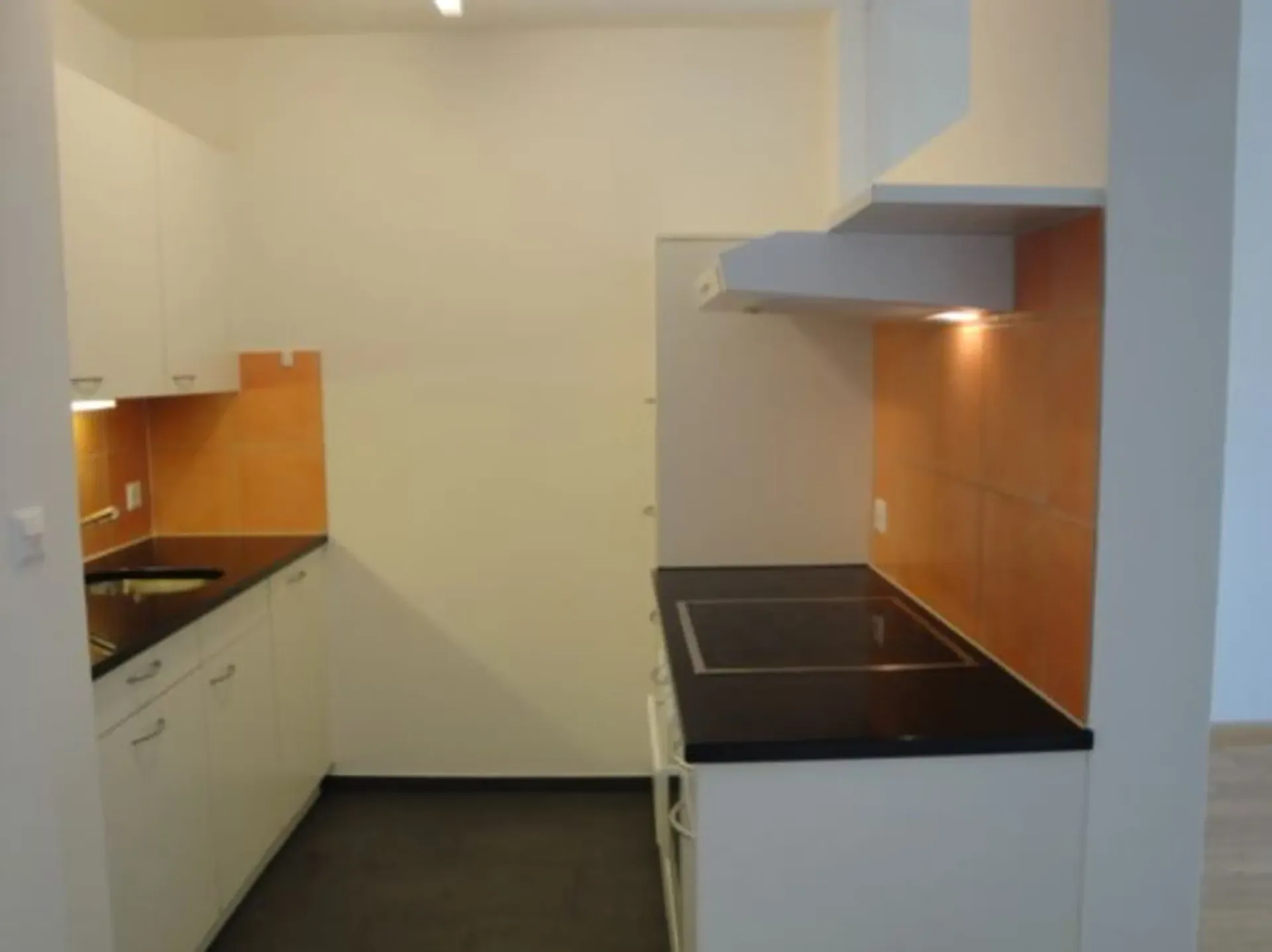 Bright 1-room apartment with a great view