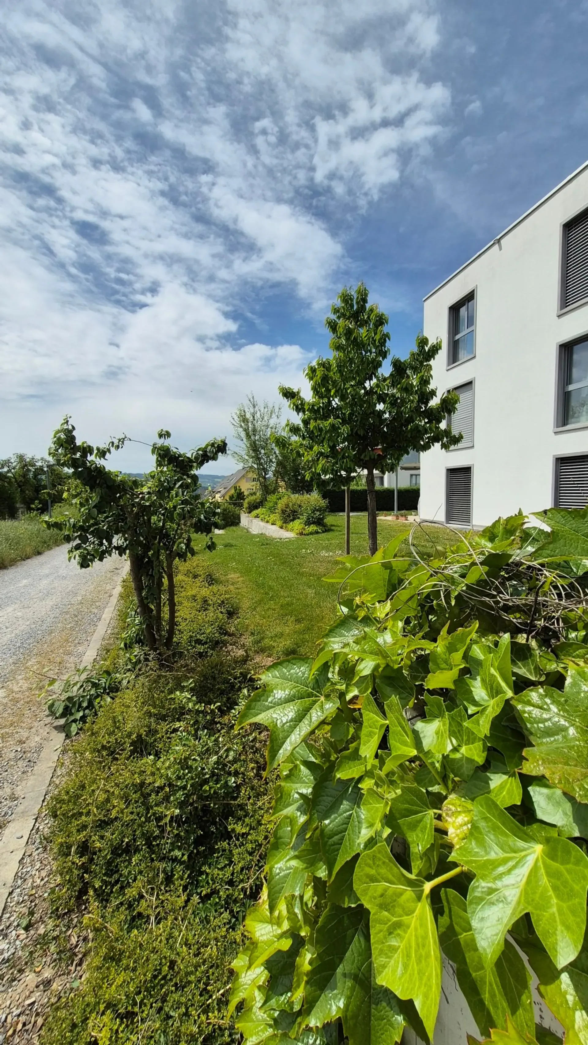 Helle und moderne 2.5-Zimmerwohnung mit Gartensitzplatz