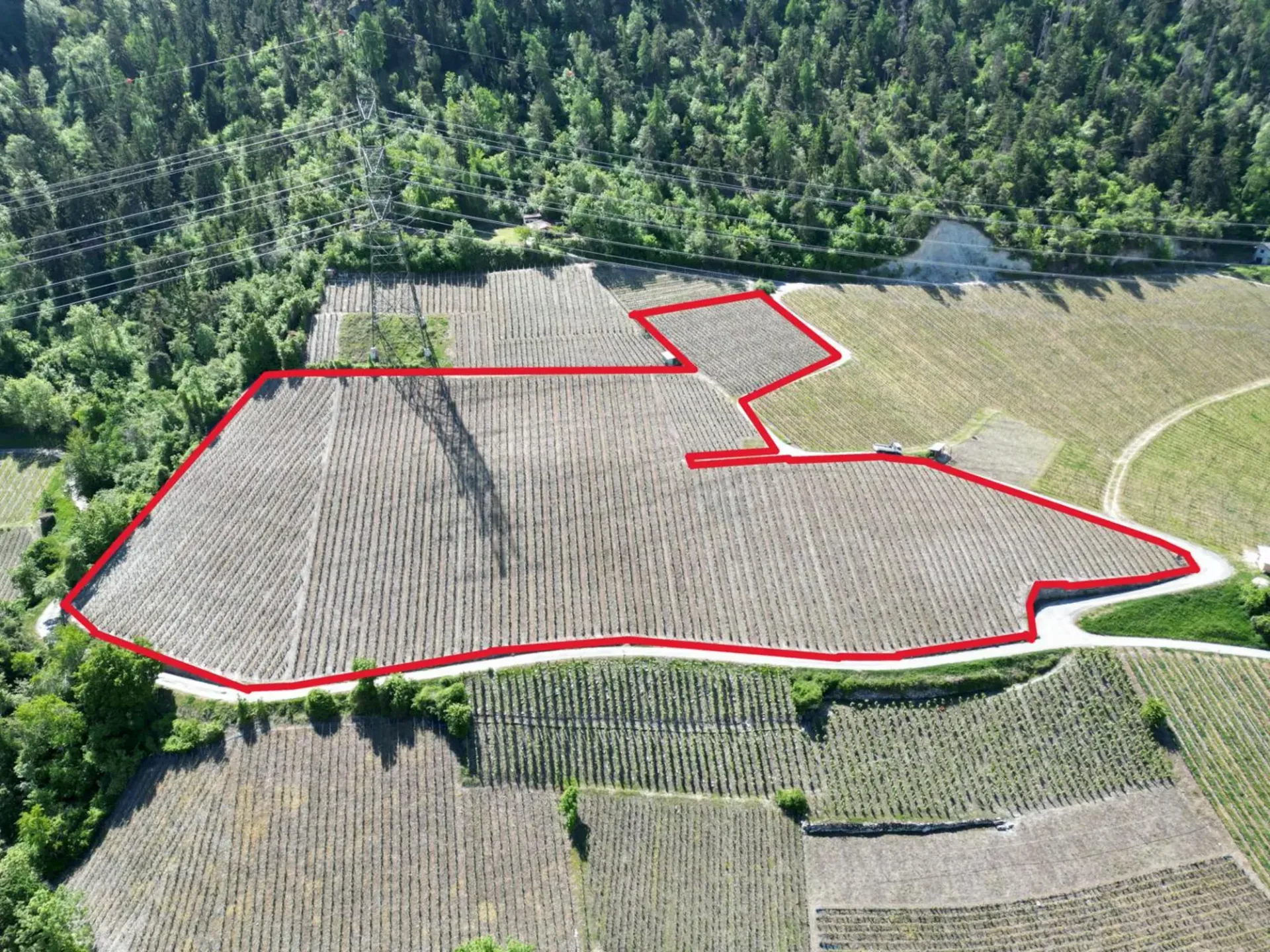 Weinberg-Anwesen von Ausnahme in Chalais - Wallis - 12'794 m2