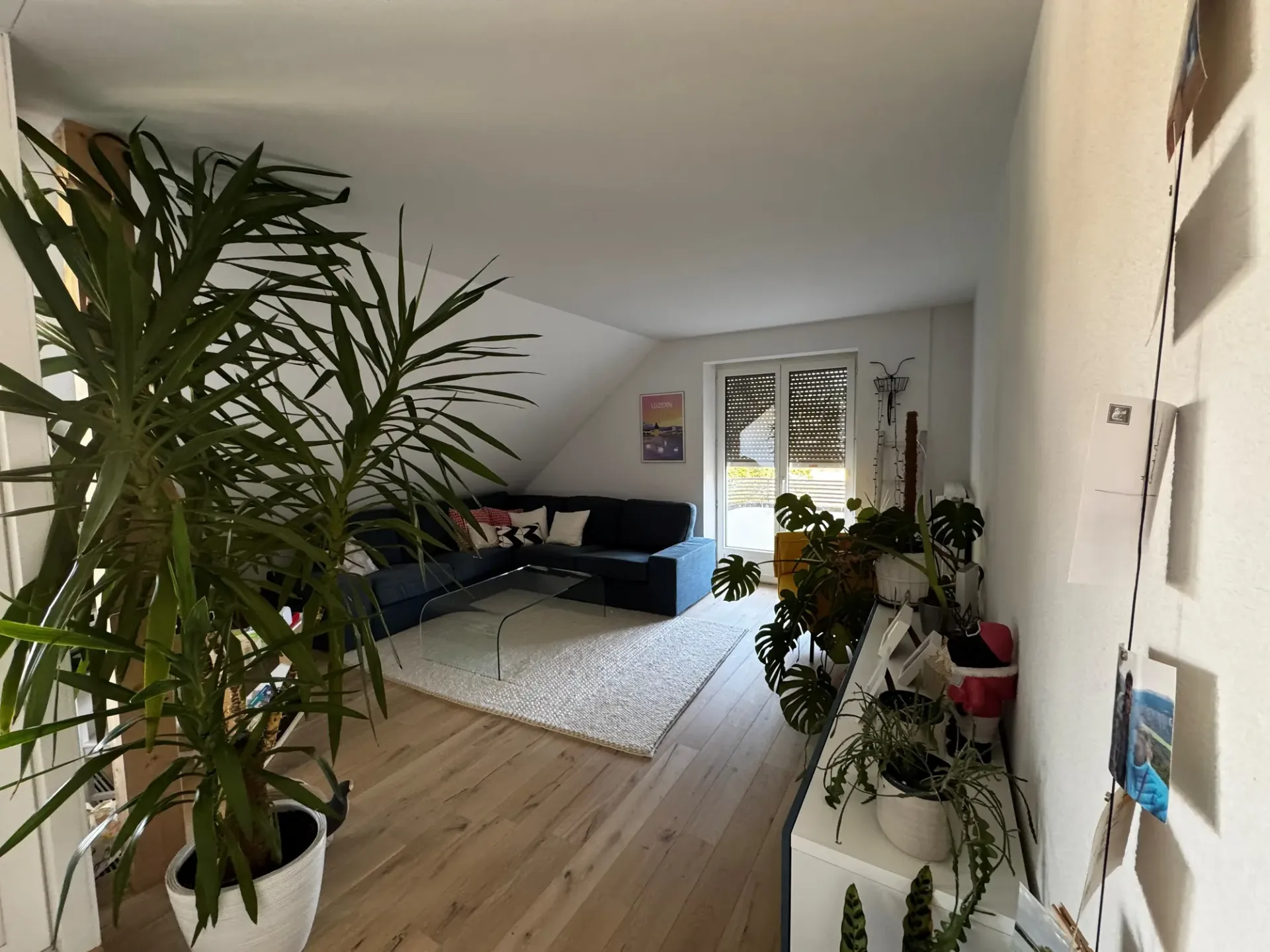 4½ ZI-WOHNUNG IN BERN, MÖBLIERT, TEMPORÄR