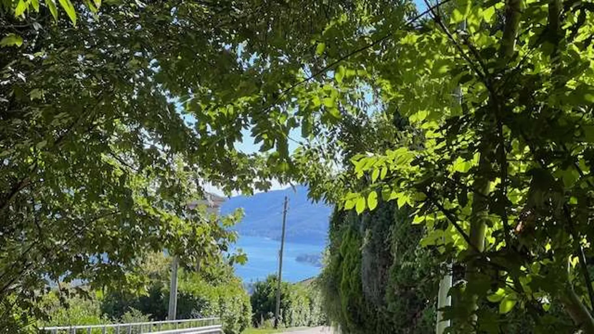 Bosco Luganese Baugrundstück mit Seeblick