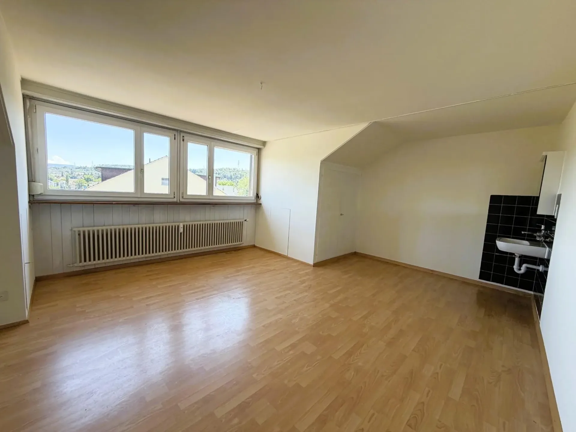 Cozy Attic Apartment on the Top Floor in Liestal