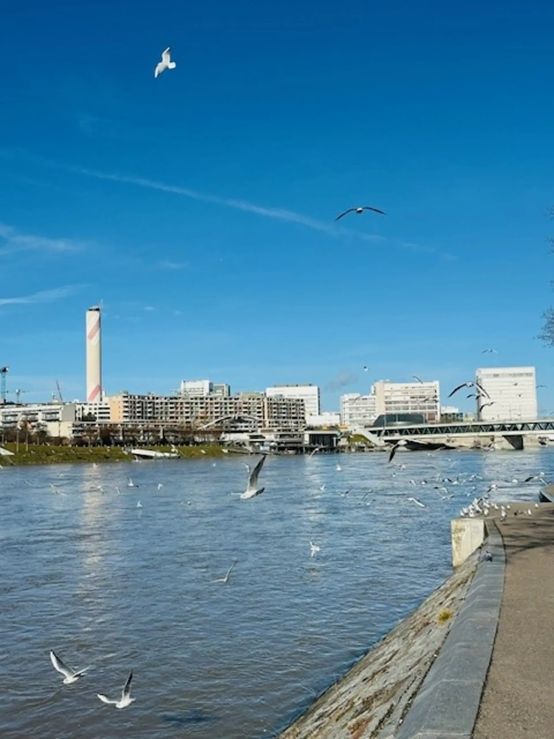 Cozy, charming 2.5-room apartment in the heart of Basel near the Rhine