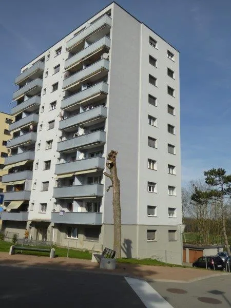 magnifique studio
