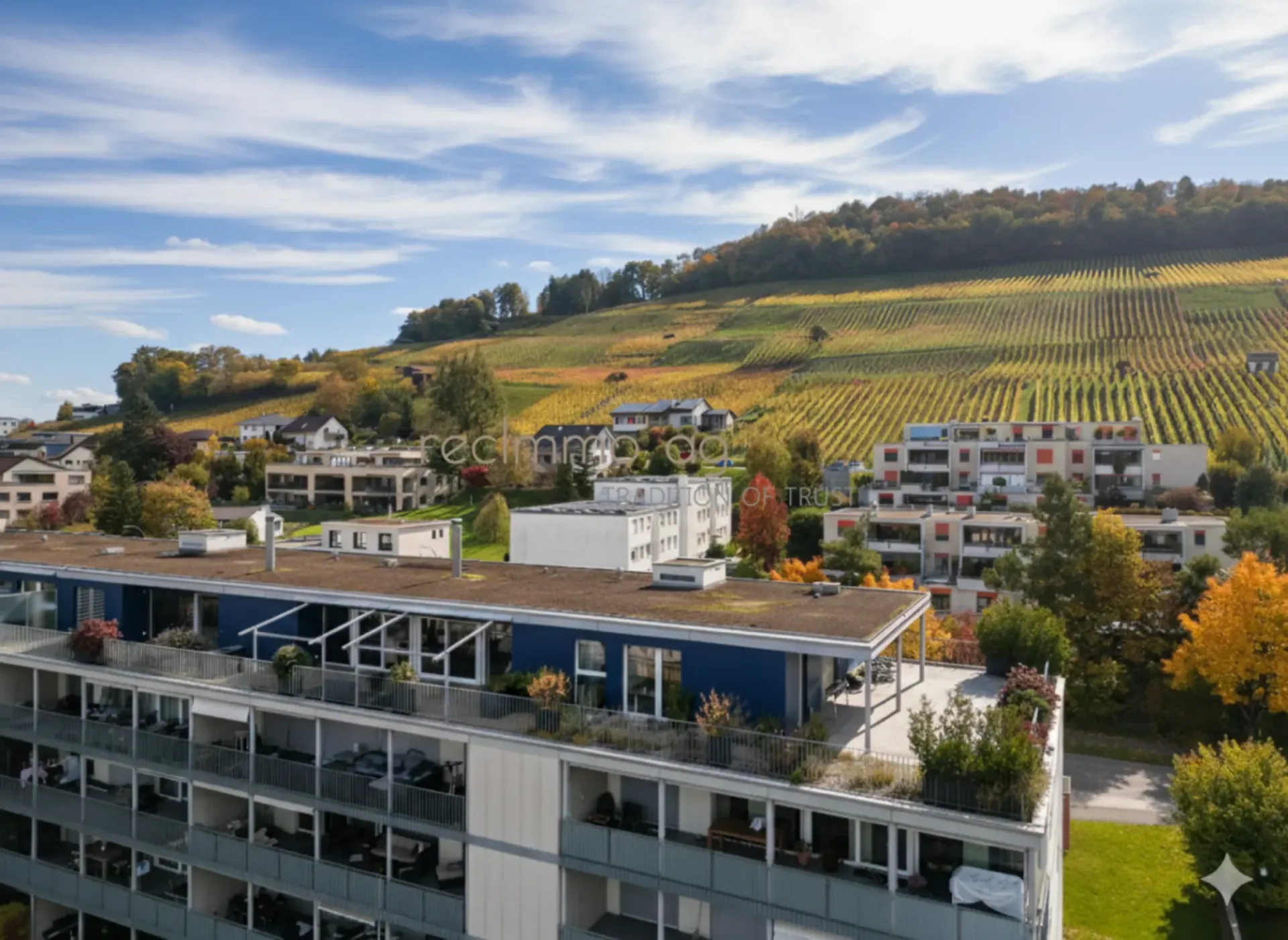 Exklusive 5.5-Zimmer-Wohnung mit 300 m² Terrasse in Döttingen - Raum, Komfort und Stil auf höchstem Niveau
