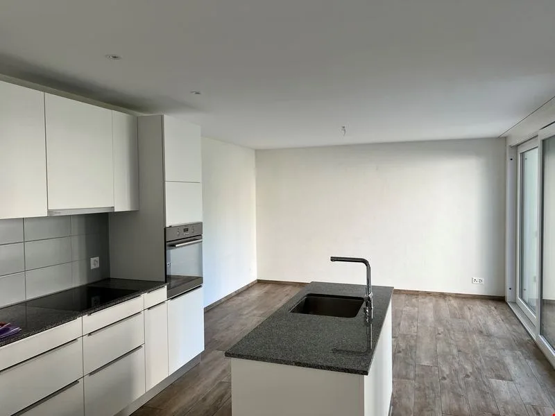 3.5-room apartment of 102m² on the lower ground floor (duplex)