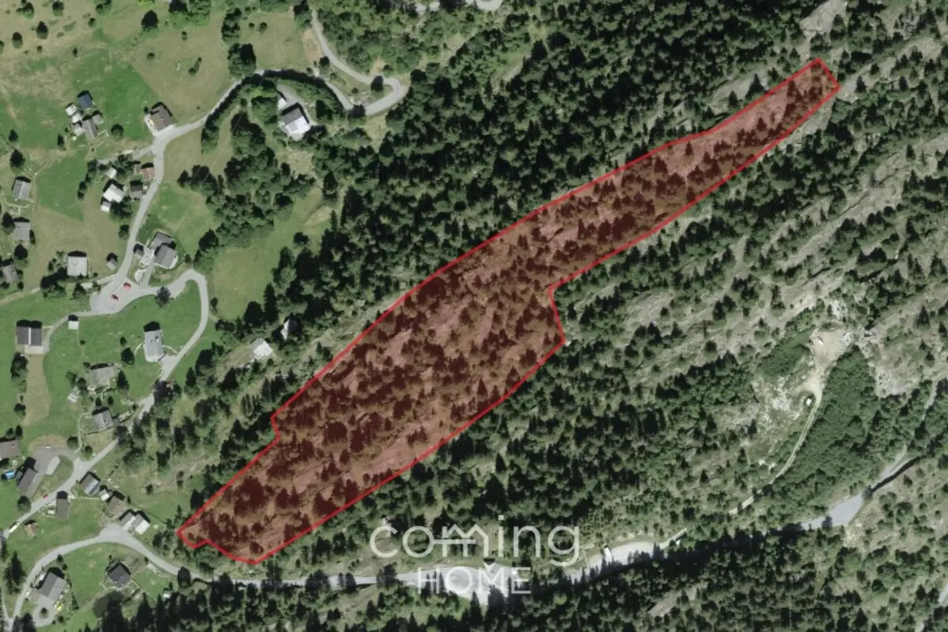Waldgrundstück in Blatten bei Naters - Naturnahes Land mit Bergflair im Walliser Aletschgebiet