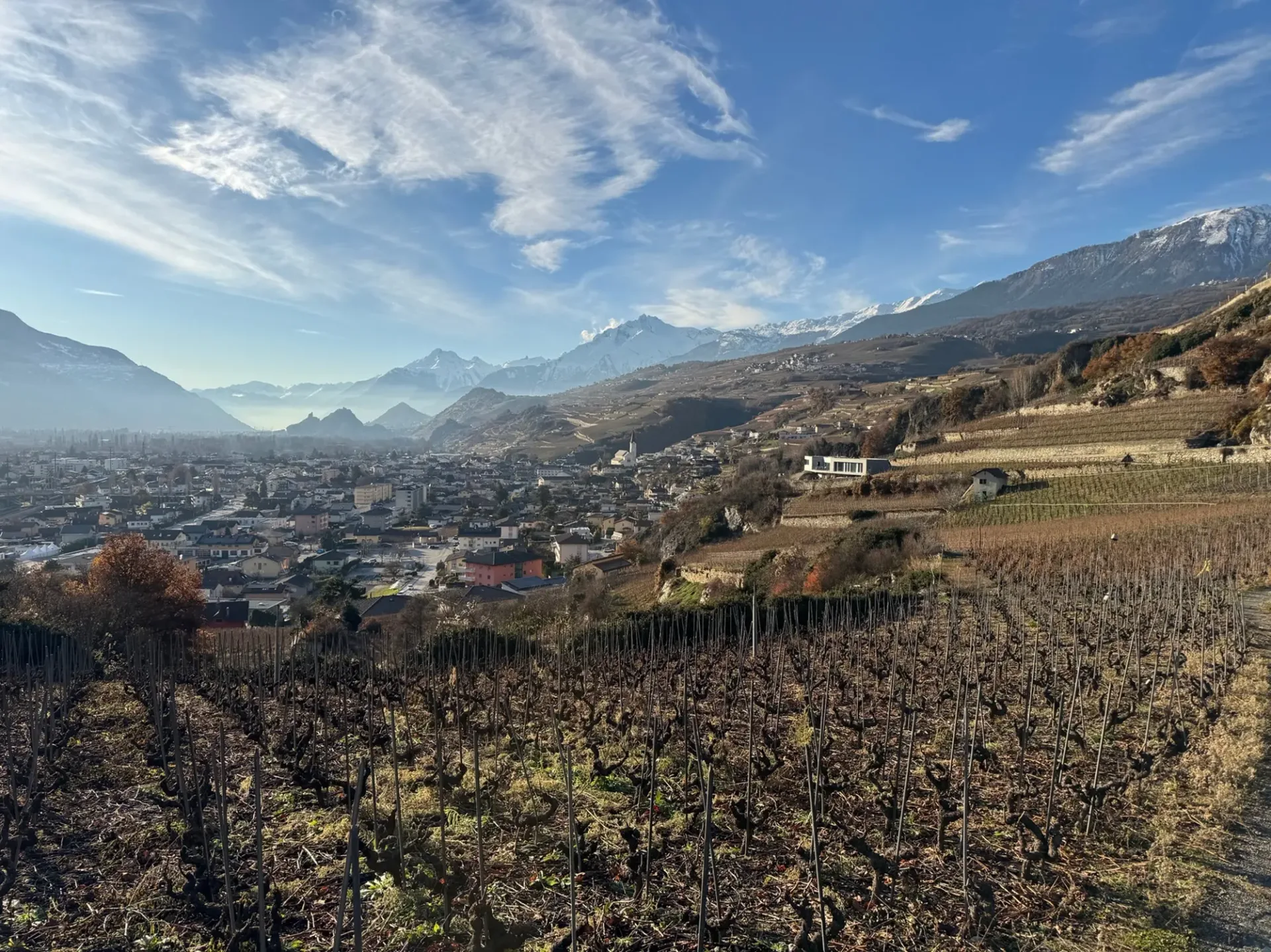 Terrain / St-Léonard / Nicht parzellenfähig! / EXKLUSIVITÄT / Ref. 10245452
