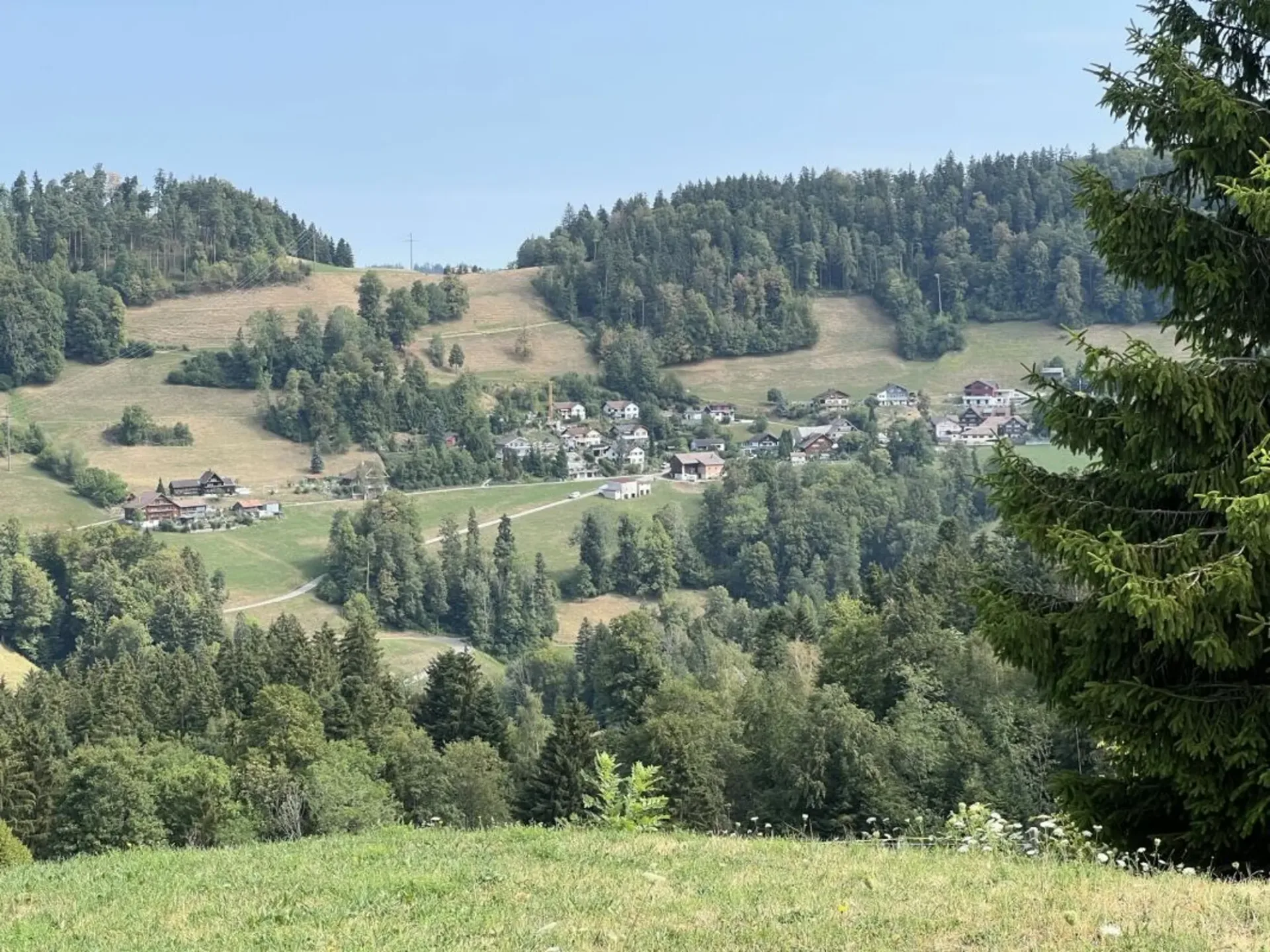 Freiheit braucht Raum - Naturrefugium Rotenfluh 952