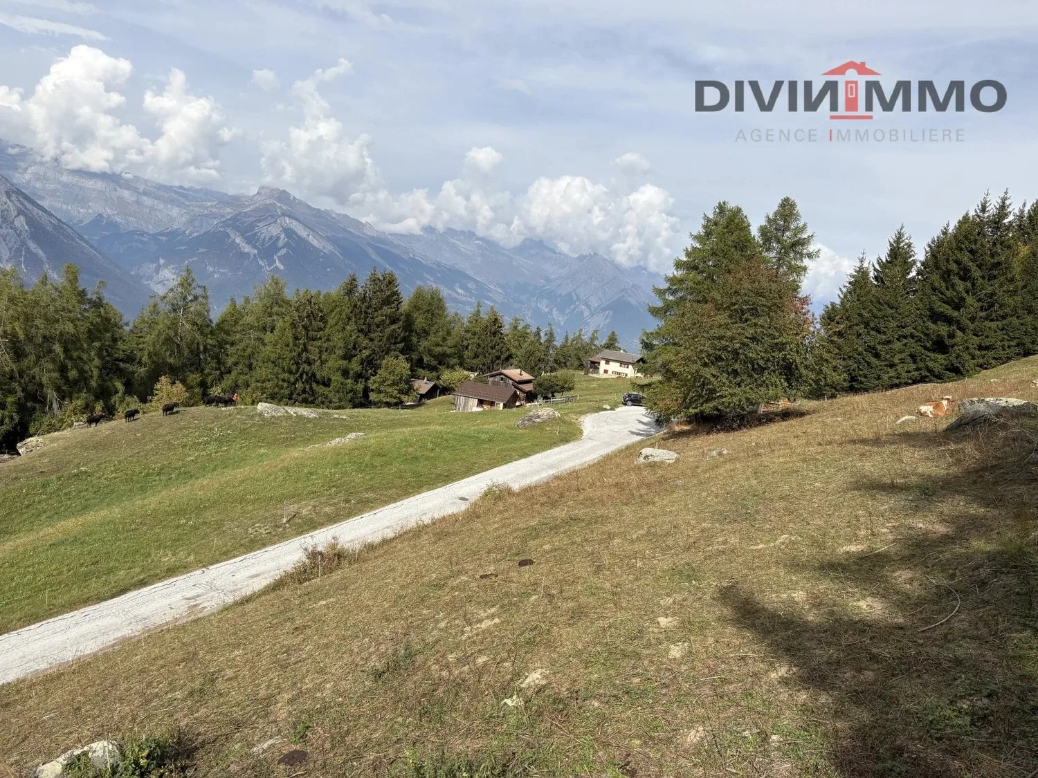 Magnifique parcelle aux portes de Haute-Nendaz