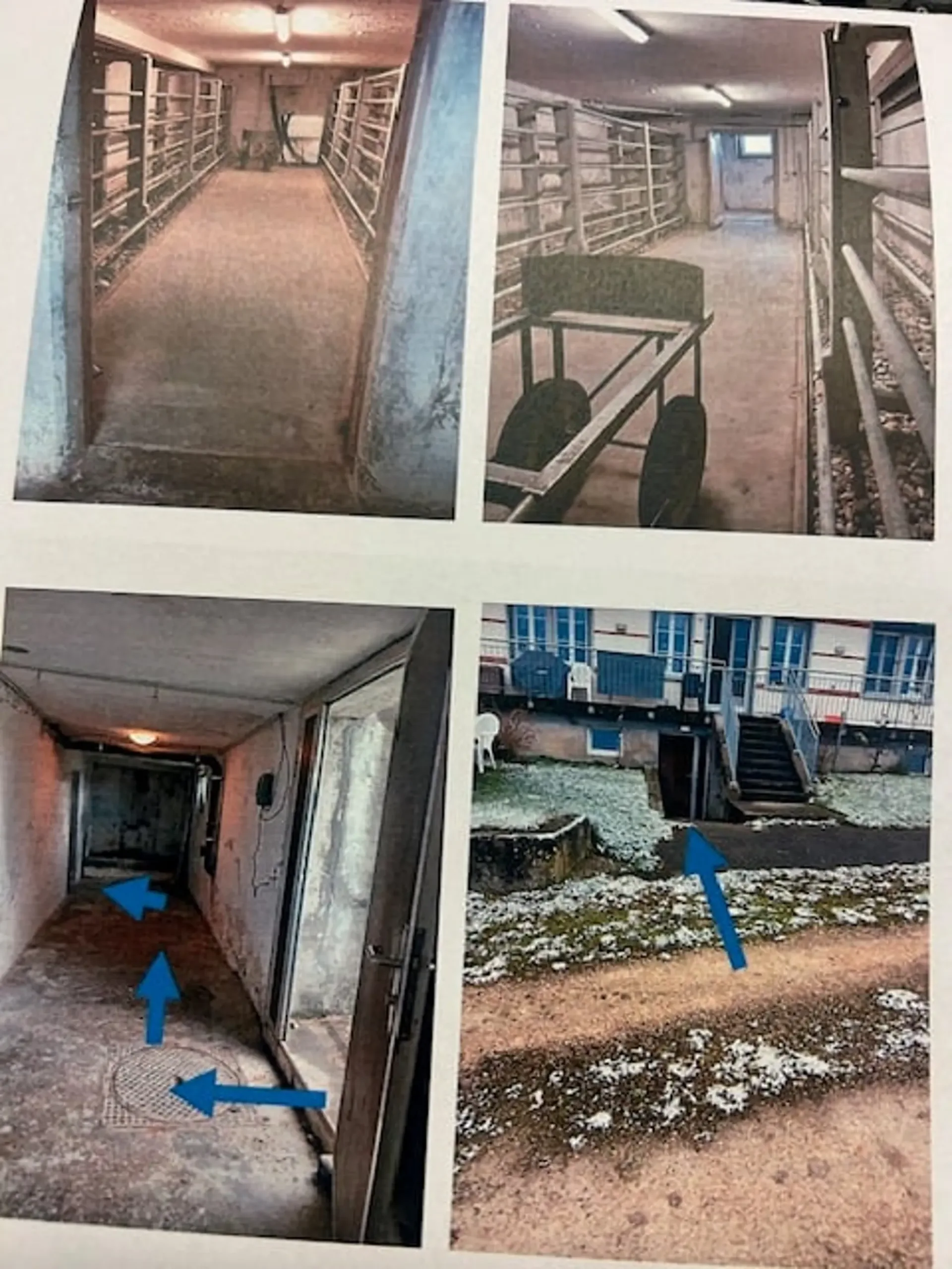 Grosser Keller mit gutem Zugang