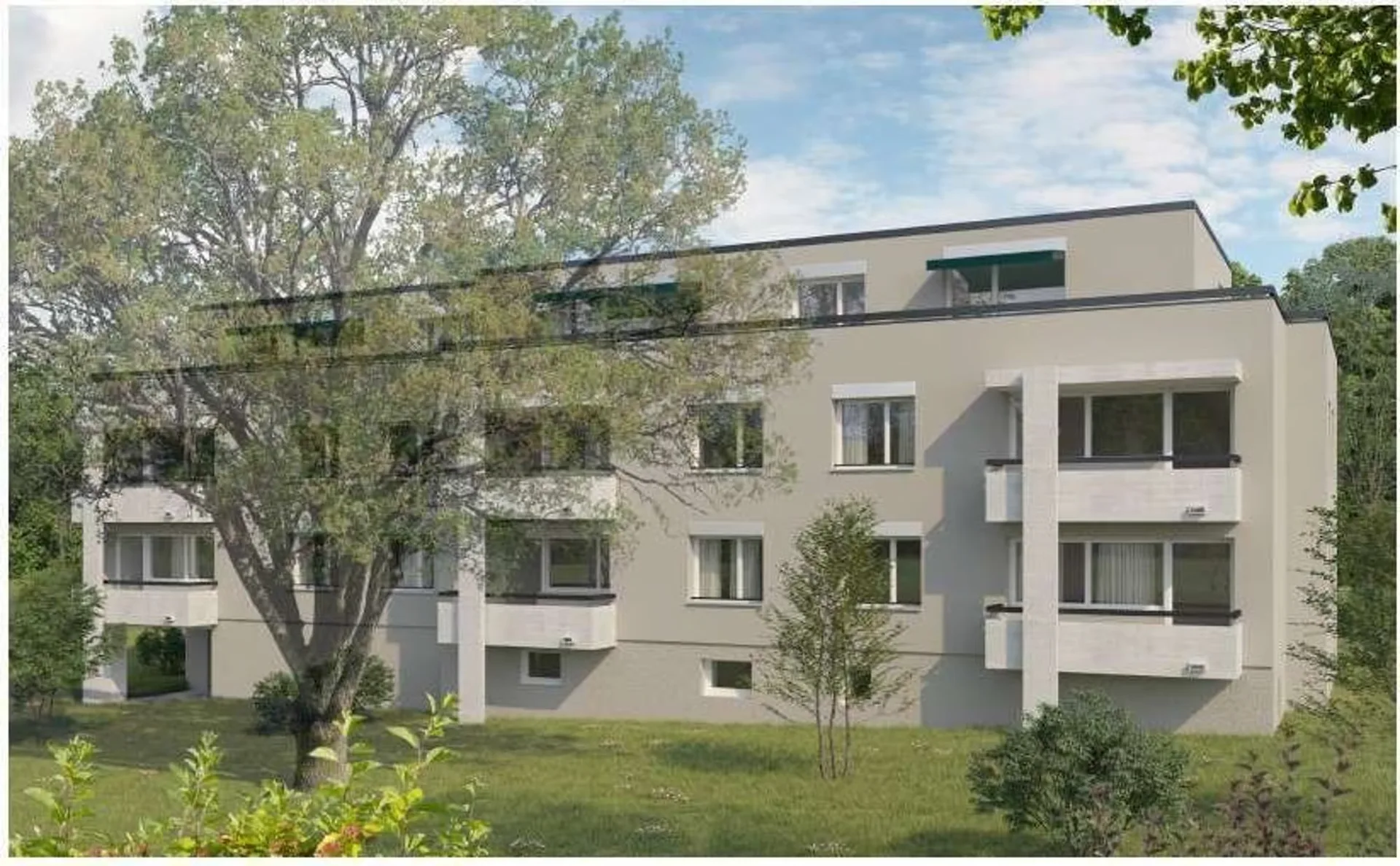 Dream home in Riehen after comprehensive renovation