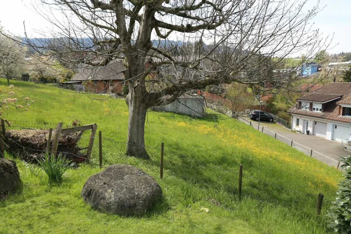 Terrain à bâtir, p. ex. pour villa, DEFH, 3 appartements