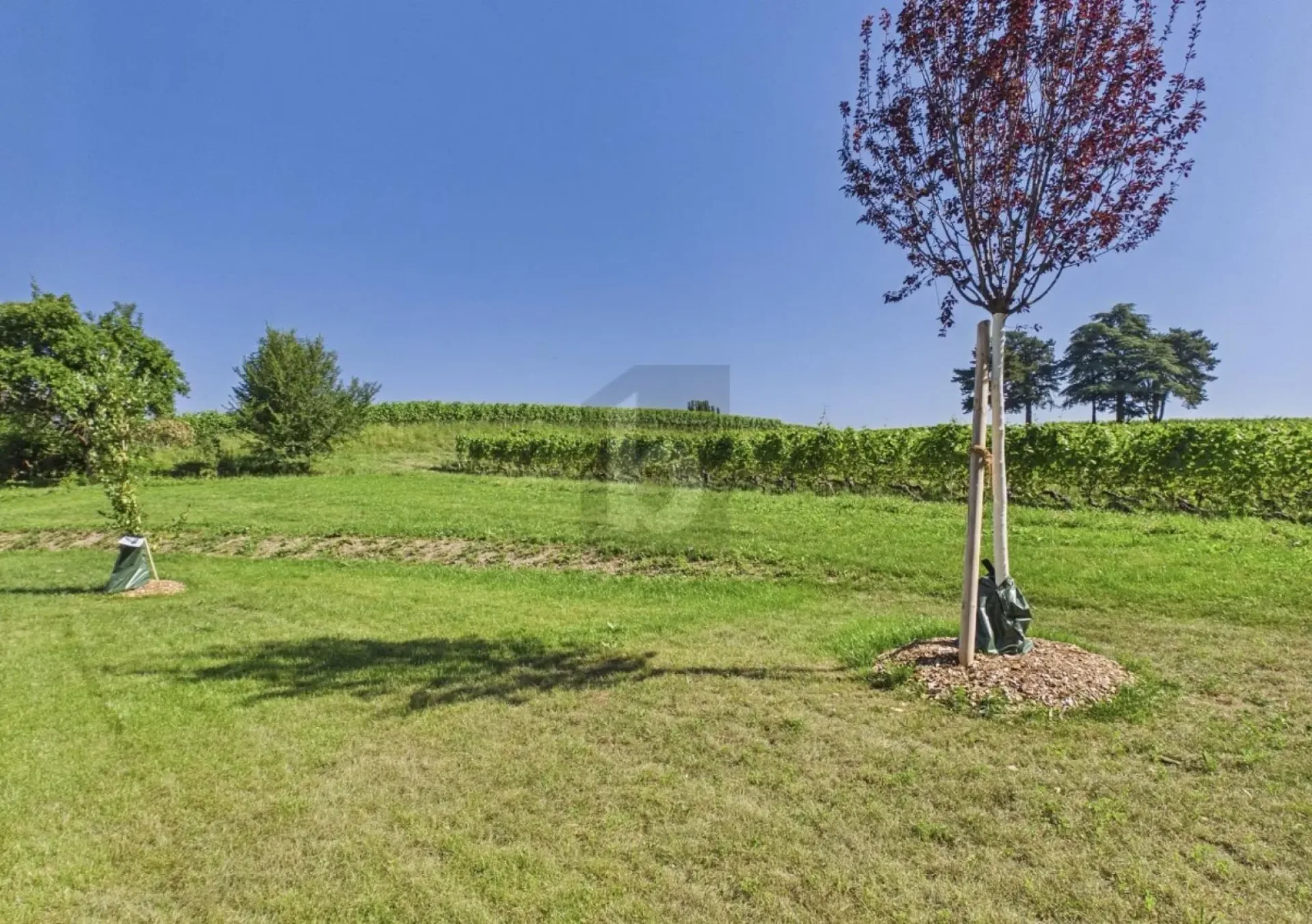 Renovierte Immobilie mit Garten, ruhig im Weinberg