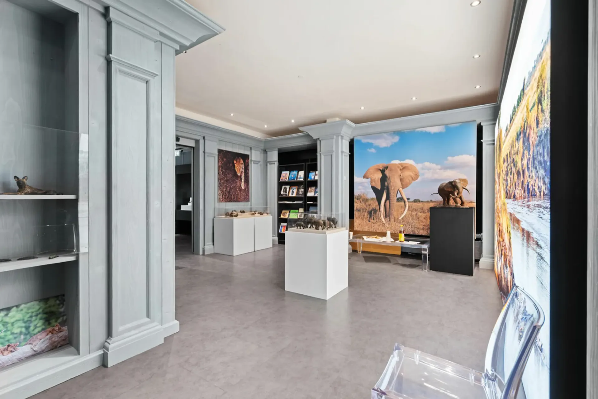 Local commercial 430m2 rue commerçante